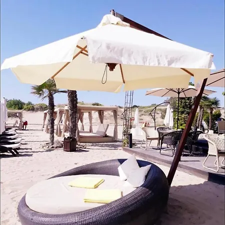 Oasis Vip Club,